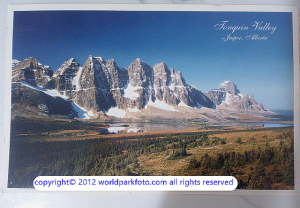 Postcards XL 6x8"